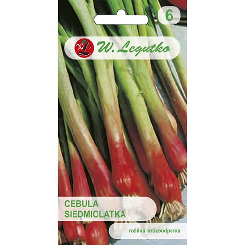 Cebula siedmiolatka Red Toga interface.image 1 interface.art 78452