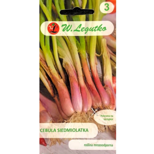 Cebula siedmiolatka Winter Nest interface.image 1 interface.art 78451