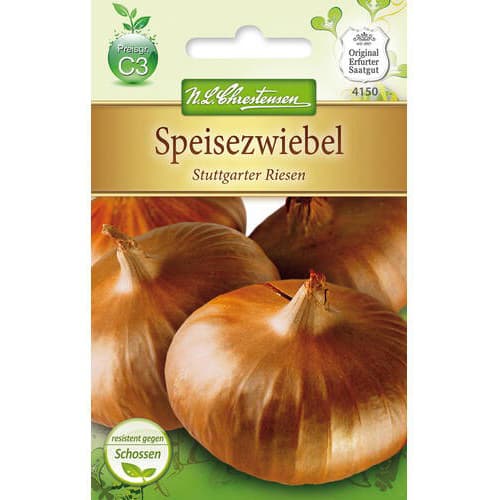 Cebula zolta Stuttgarter Riesen interface.image 1 interface.art 78758