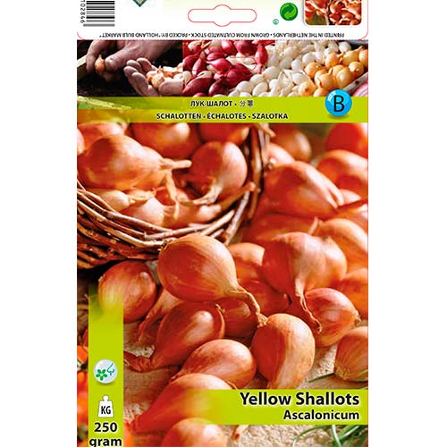 Cebula szalotka żółta interface.image 1 interface.art 70498