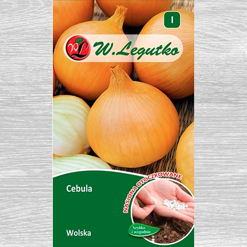 Cebula Wolska  interface.art zdjęcie 1 Cebula Wolska  interface.image 1 interface.art 69424