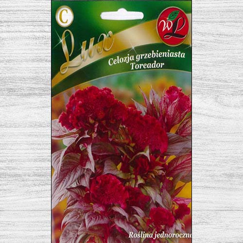 Celozja grzebieniasta Toreador interface.image 1 interface.art 78654