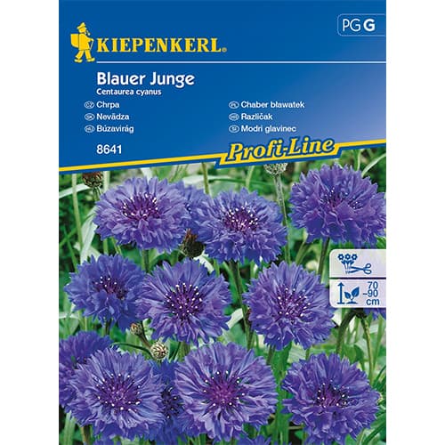 Chaber blawatek pelny Blauer Junge interface.image 1 interface.art 86258