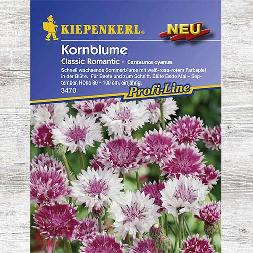 Chaber bławatek Classic Romantic, mieszanka kolorów interface.image 1 interface.art 86259