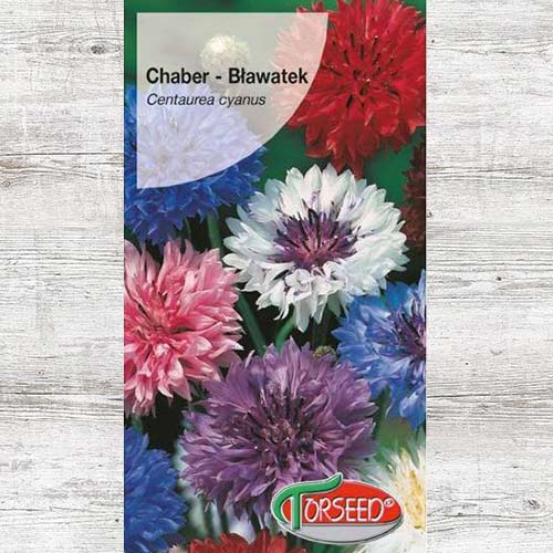 Chaber bławatek, nasiona interface.image 1 interface.art 86928