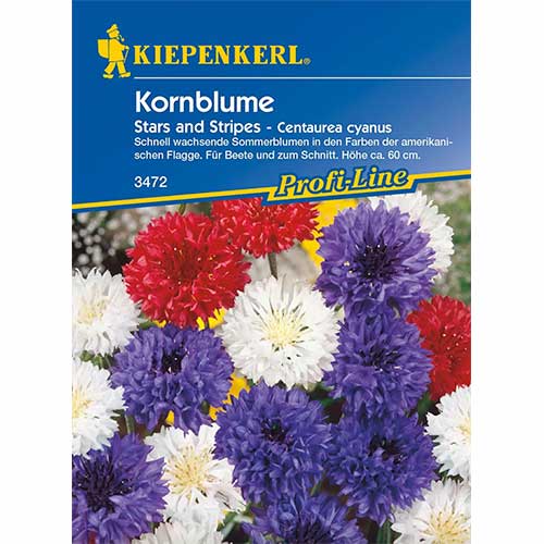 Chaber bławatek Stars And Stripes Kiepenkerl interface.image 1 interface.art 96554