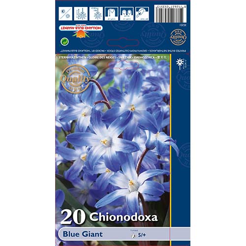 Śnieżnik Blue Giant interface.image 1 interface.art 67321