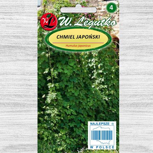 Chmiel japoński zielony interface.image 1 interface.art 78539