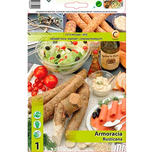 Chrzan pospolity interface.image 1 interface.art 70503