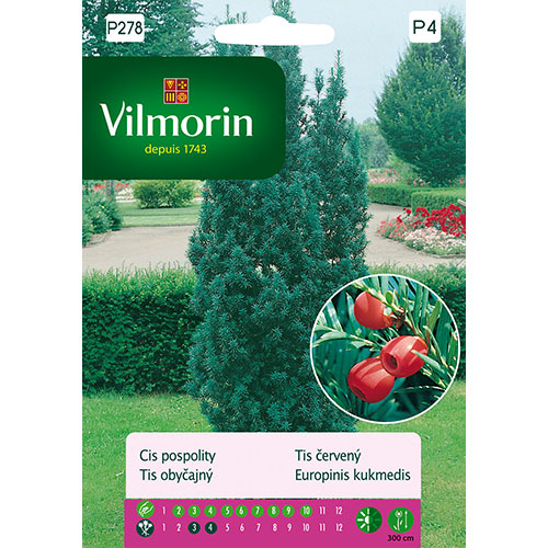 Cis pospolity Vilmorin interface.art zdjęcie 1 Cis pospolity Vilmorin interface.image 1 interface.art 86630