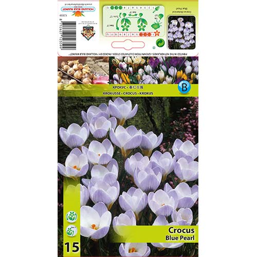 Krokus Blue Pearl interface.image 1 interface.art 67327