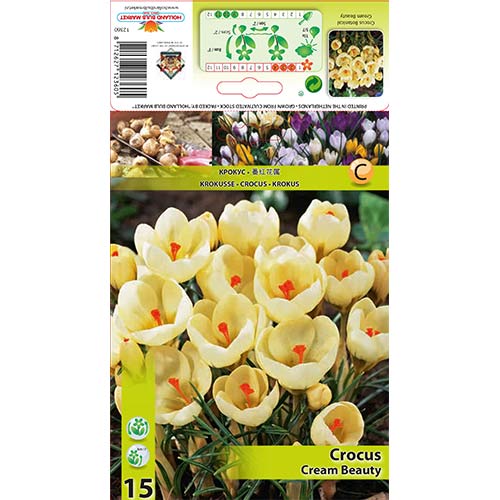 Krokus Cream Beauty interface.image 1 interface.art 67328