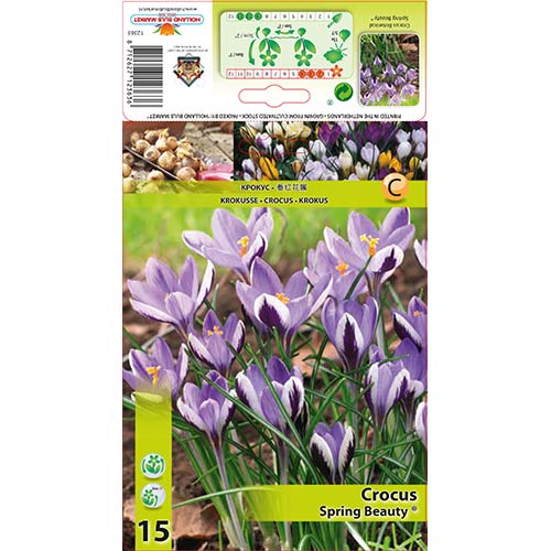 Krokus Spring Beauty interface.art zdjęcie 1 Krokus Spring Beauty interface.image 1 interface.art 67342