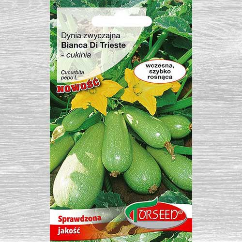 Cukinia (Dynia zwyczajna) Bianca Di Trieste interface.art zdjęcie 1 Cukinia (Dynia zwyczajna) Bianca Di Trieste interface.image 1 interface.art 77609