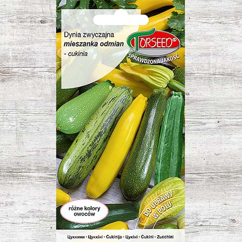 Cukinia (Dynia zwyczajna), mieszanka odmian interface.art zdjęcie 1 Cukinia (Dynia zwyczajna), mieszanka odmian interface.image 1 interface.art 86929