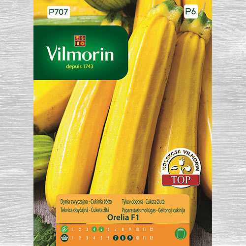 Cukinia (Dynia zwyczajna) Orelia F1 interface.art zdjęcie 1 Cukinia (Dynia zwyczajna) Orelia F1 interface.image 1 interface.art 77710
