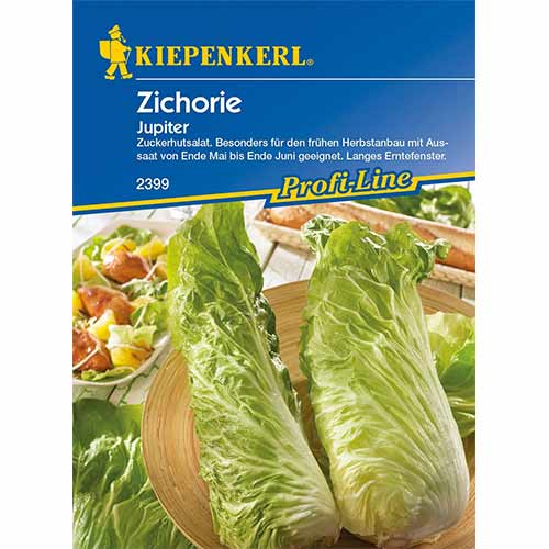 Cykoria Jupiter F1 Kiepenkerl interface.image 1 interface.art 96686