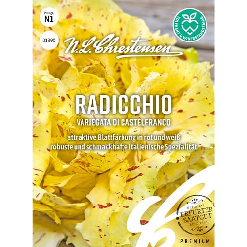 Sałata cykoria Variegata di Castelfranco interface.art zdjęcie 1 Sałata cykoria Variegata di Castelfranco interface.image 1 interface.art 86082