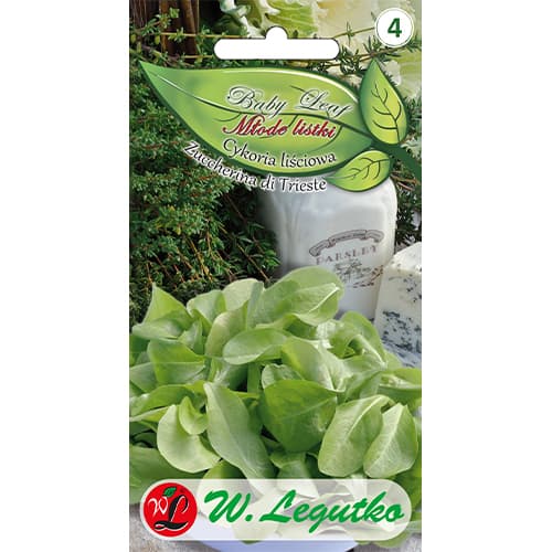 Cykoria liściowa Zuccherina di Trieste - Baby Leaf interface.image 1 interface.art 86705