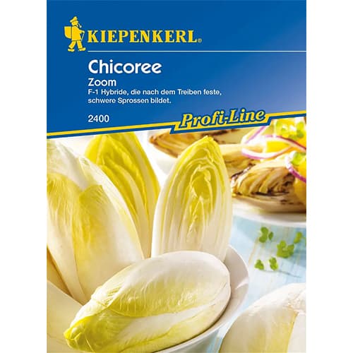 Sałata cykoria Zoom interface.image 1 interface.art 86424