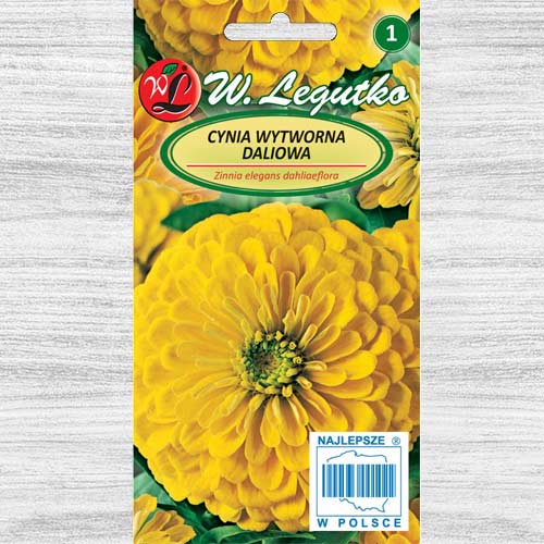 Cynia wytworna daliowa Canary Bird Legutko interface.image 1 interface.art 78541