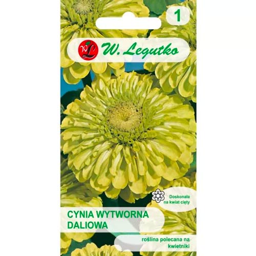 Cynia daliowa Envy interface.image 1 interface.art 78544