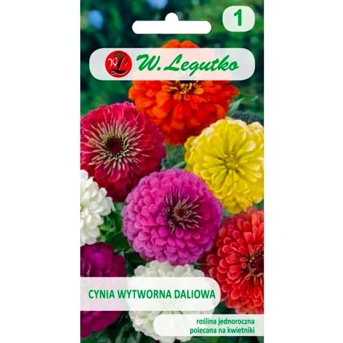 Cynia wytworna daliowa, mix interface.image 1 interface.art 50088