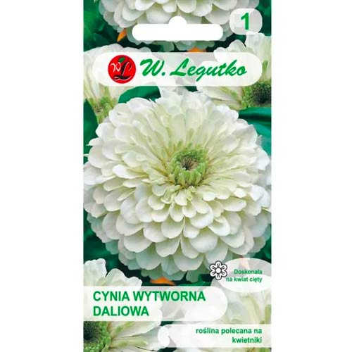 Cynia daliowa Polar Bear interface.image 1 interface.art 78540