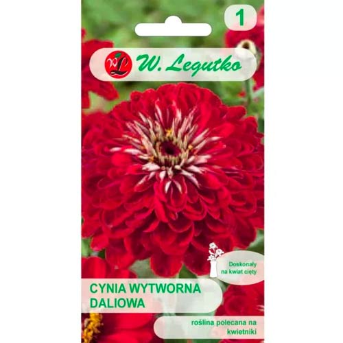 Cynia daliowa Scarlet Flame interface.image 1 interface.art 69576