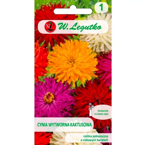 Cynia wytworna kaktusowa, mix interface.image 1 interface.art 86820