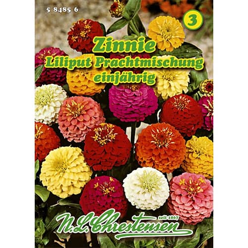 Cynia Liliput, mix kolorow interface.image 1 interface.art 87823