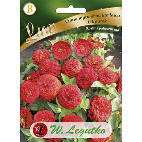 Cynia Liliputek czerwona interface.art zdjęcie 1 Cynia Liliputek czerwona interface.image 1 interface.art 78662