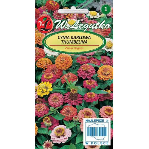 Cynia wytworna karłowa Thumbelina, mieszanka Legutko interface.image 1 interface.art 78545