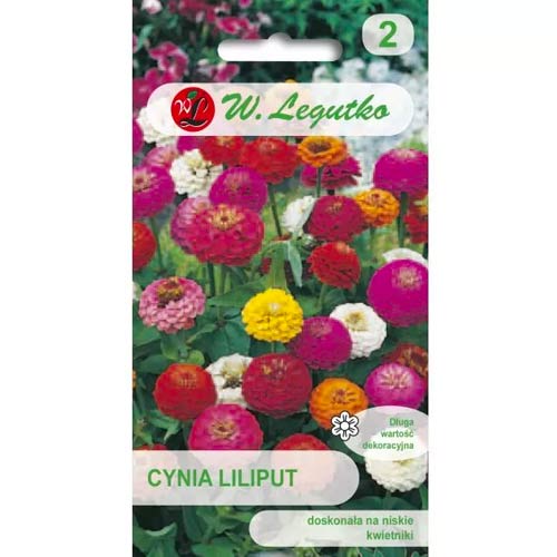 Cynia wytworna Liliput, mix interface.image 1 interface.art 69578