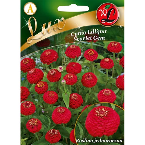 Cynia wytworna Liliput Scarlet Gem interface.image 1 interface.art 78659