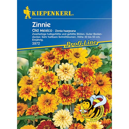 Cynia Old Mexico, mix kolorow interface.image 1 interface.art 86357