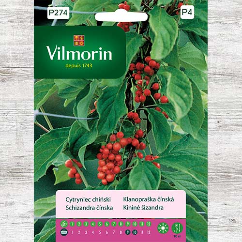 Cytryniec chiński, nasiona interface.image 1 interface.art 86631