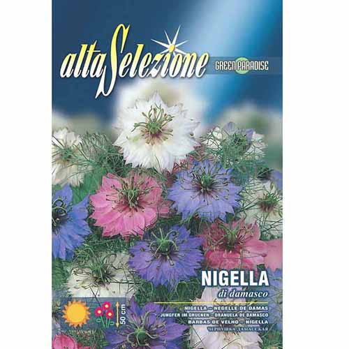 Czarnuszka damasceńska Morami interface.art zdjęcie 1 Czarnuszka damasceńska Morami interface.image 1 interface.art 96330