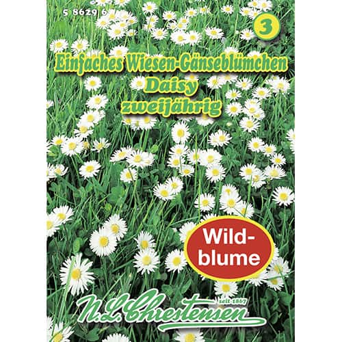 Szarlotka pospolita Daisy interface.art zdjęcie 1 Szarlotka pospolita Daisy interface.image 1 interface.art 87801