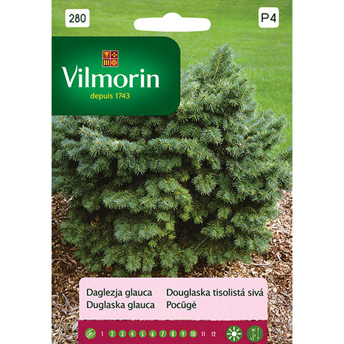 Daglezja glauca zielona Vilmorin interface.image 1 interface.art 86632