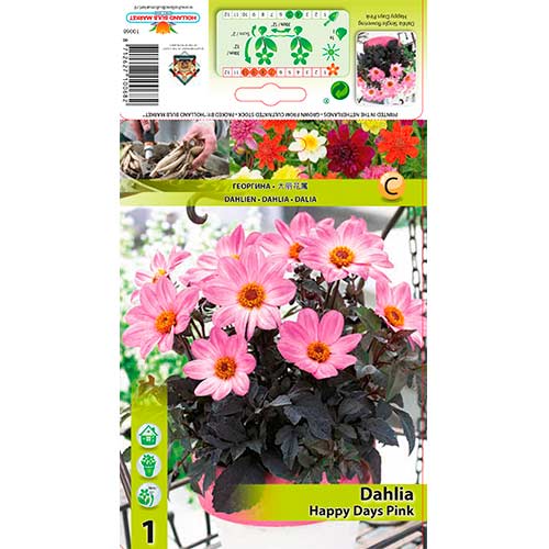 Dalia Happy Days Pink interface.image 1 interface.art 76212