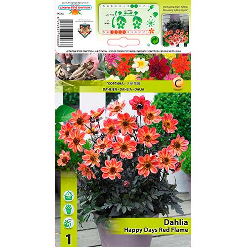 Dalia Happy Days Red Flame interface.image 1 interface.art 76213