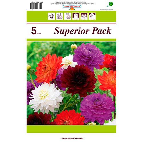 Dalia dekoracyjna, mix kolorów interface.art zdjęcie 1 Dalia dekoracyjna, mix kolorów interface.image 1 interface.art 76415