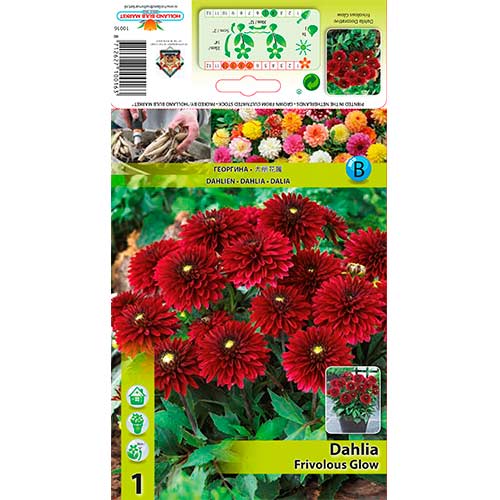 Dalia Frivolous Glow interface.image 1 interface.art 70372