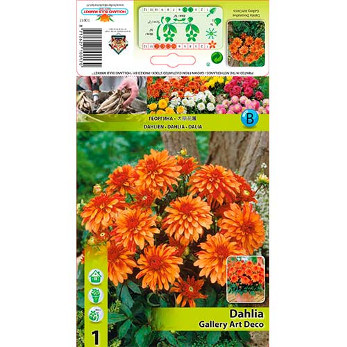 Dalia Gallery Art Deco interface.image 1 interface.art 76207