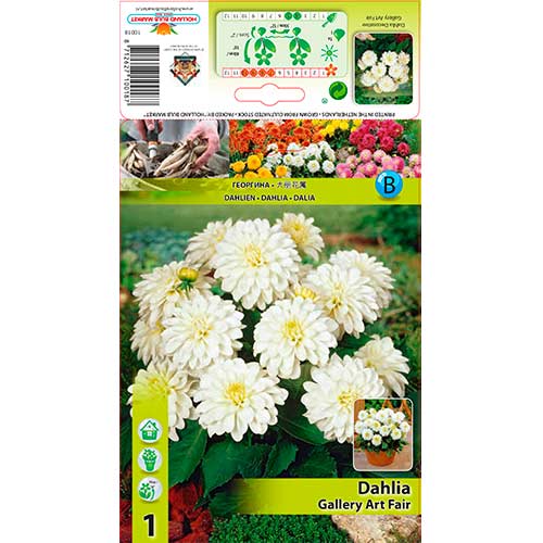 Dalia Gallery Art Fairy interface.image 1 interface.art 76208