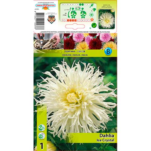 Dalia Ice Crystal interface.image 1 interface.art 76560