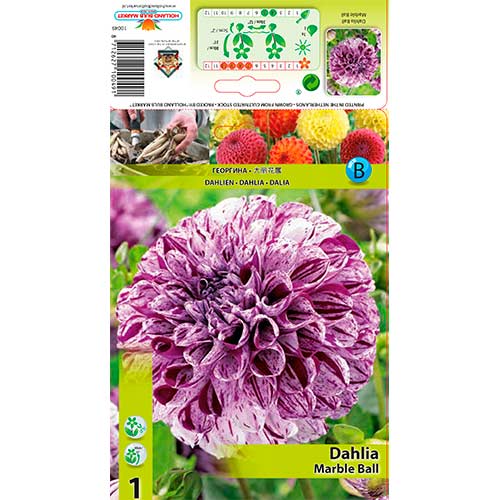 Dalia Marble Ball interface.image 1 interface.art 76215