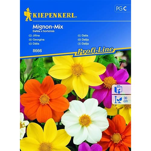 Dalia Mignon, mix kolorow interface.image 1 interface.art 96525