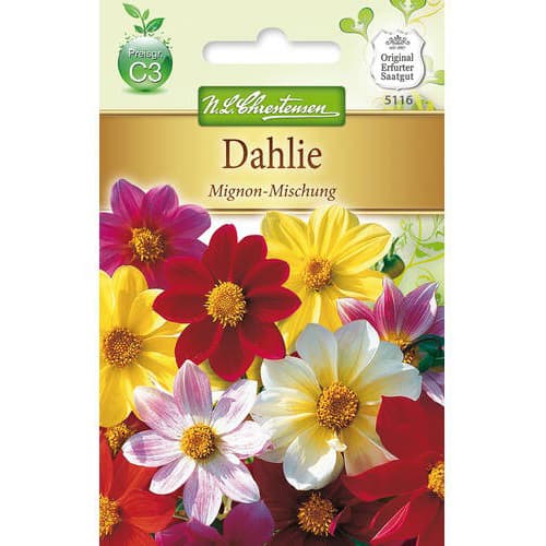 Dalia Mignon, mix kolorow interface.image 1 interface.art 78907